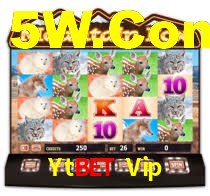 Ytbet Vip App Interface